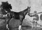 The Forgotten Jockey (Jake Heupel and the Golden Age of Horse Racing) by Lisa Brandabur Kremer, 9781493097302