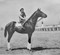 The Forgotten Jockey (Jake Heupel and the Golden Age of Horse Racing) by Lisa Brandabur Kremer, 9781493097302