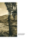 Romania (Landscape, Buildings, National Life in the 1930s) by Octavian Goga, Ernest H. Latham, Kurt Hielscher, 9781592118304