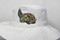 Wild & Wearable Animal Embroidery (Stitch Capybaras, Seals, Red Pandas & More) by Sara Barnes, 9781644037294