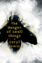 The Danger of Small Things by Caryl Lewis, 9781665977524