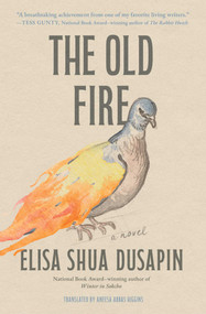 The Old Fire (A Novel) by Elisa Shua Dusapin, Aneesa Abbas Higgins, 9781668212226