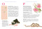 P is for Perimenopause (The ABCs of a Hormonal Hellscape) by Elisabeth Saake, Holley Maher, 9781685556884