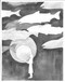 Pin Bones (Poems) by Maaike VanderMeer, 9781771684934
