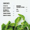Salads (Over 60 vibrant recipes for tempting sides and unmissable mains) by Ryland Peters & Small, 9781788798006