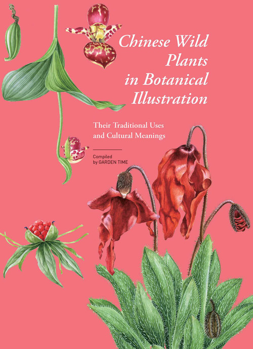 Chinese Wild Plants in Botanical Illustration 2 (Their Traditional Uses and Cultural Meanings) by Wu Xiuzhen, Garden Time, 9781788843652