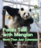 Panda Talk with Menglan (More Than Just Cuteness) by Beijing Zoo, 9781913190668