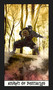 Ninja Tarot by NIJIYA, 9781922468536