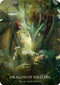 Dragon Oracle (Heed the call of the dragons) by Michaela Haendly, Jena Dellagrottaglia, 9781922468550