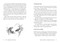 Peace - The Japanese Way of Harmony by Yukiko Hirano, 9781922468710