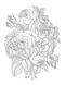 Color-Your-Own Botanical Cards by Sweet Hearts Press, 9781923748088