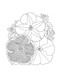 Color-Your-Own Botanical Cards by Sweet Hearts Press, 9781923748088