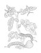 Color-Your-Own Botanical Cards by Sweet Hearts Press, 9781923748088