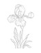 Color-Your-Own Botanical Cards by Sweet Hearts Press, 9781923748088