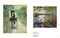 Monet by Philippe Piguet, 9782702212059