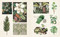 Vintage Botanical Sticker Book by Insight Editions, 9798337405292