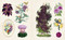 Vintage Botanical Sticker Book by Insight Editions, 9798337405292