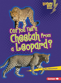 Can You Tell a Cheetah from a Leopard? by Buffy Silverman, 9780761378471