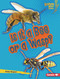 Is It a Bee or a Wasp? by Zelda Wagner, 9798348041533