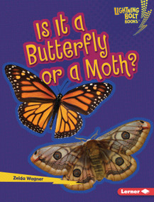 Is It a Butterfly or a Moth? by Zelda Wagner, 9798348041540