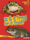Is It a Frog or a Toad? by Zelda Wagner, 9798348041557