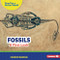 Fossils (A First Look) by Candice Ransom, 9798348057633