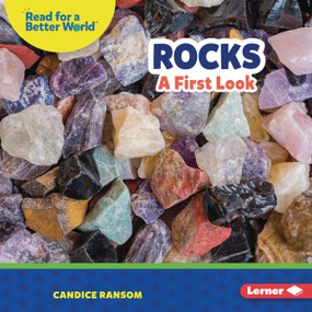 Rocks (A First Look) by Candice Ransom, 9798348057664
