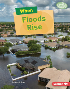 When Floods Rise by Cynthia O'Brien, 9798348057701