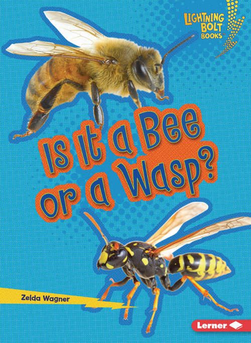 Is It a Bee or a Wasp? by Zelda Wagner, 9798348065560