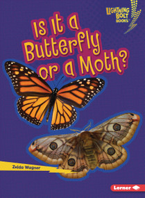 Is It a Butterfly or a Moth? by Zelda Wagner, 9798348065577