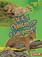 Is It a Cheetah or a Leopard? by Zelda Wagner, 9798348065584