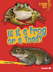 Is It a Frog or a Toad? by Zelda Wagner, 9798348065591