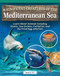 Magnificent Creatures of the Mediterranean Sea (Learn About Animals Including Sharks, Sea Urchins, Cuttlefish, and the Fried Egg Jellyfish!) by Nicole Orr, 9798890941800