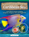Incredible Creatures of the Caribbean Sea (Learn About Animals Including Octopuses, Stingrays, Eels, and Triggerfish!) by Amie Jane Leavitt, 9798890941787