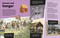 DK Super History Thirteen Colonies by DK, 9798217138906
