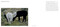 Mosaic by Sean Palfrey, 9781917627146