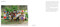 Mosaic by Sean Palfrey, 9781917627146
