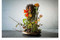 Katsumi Yamasaki (Dialogue with Flowers) (Bilingual Edition) by Katsumi Yamasaki, 9789058567369