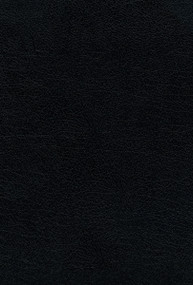 RVR60, Santa Biblia, Letra Grande, Piel Fabricada, Negro, Palabras de Jesús en Rojo, Comfort Print (Spanish Edition) by Vida, RVR 1960- Reina Valera 1960, 9780829770582