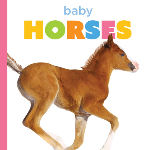 Baby Horses by Graham Morgan, 9798896803751