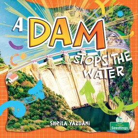 A Dam Stops the Water by Sheila Yazdani, 9781039890046