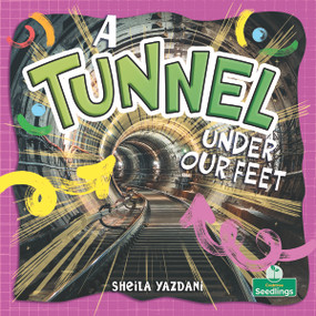 A Tunnel Under Our Feet by Sheila Yazdani, 9781039890749