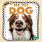 My Pet Dog by Sheila Yazdani, 9781039890404