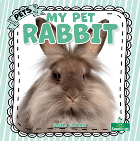 My Pet Rabbit by Sheila Yazdani, 9781039891098