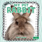 My Pet Rabbit by Sheila Yazdani, 9781039891098