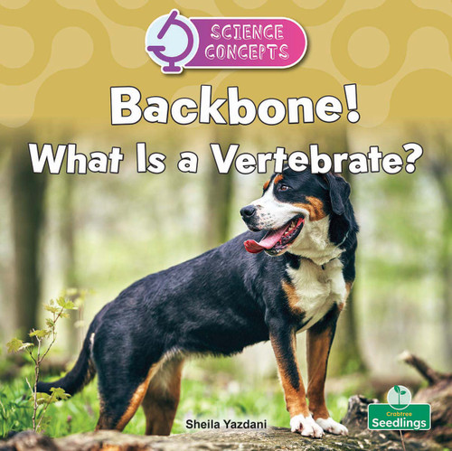 Backbone! What Is a Vertebrate? by Sheila Yazdani, 9781039890619