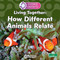 Living Together: How Different Animals Relate by Sheila Yazdani, 9781039891210
