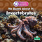 No Bones About It: Invertebrates by Sheila Yazdani, 9781039890480