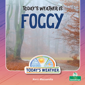 Today's Weather Is Foggy by Kerri Mazzarella, 9781039892705