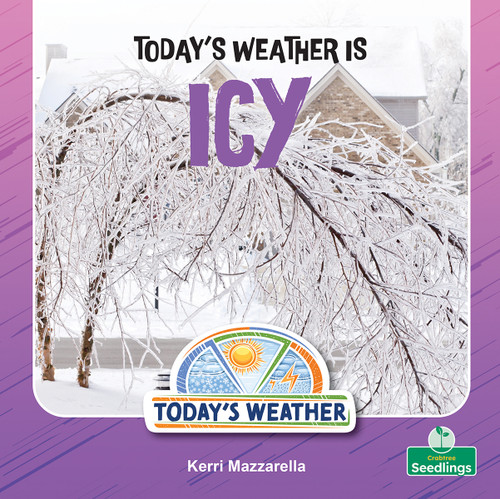 Today's Weather Is Icy by Kerri Mazzarella, 9781039892910